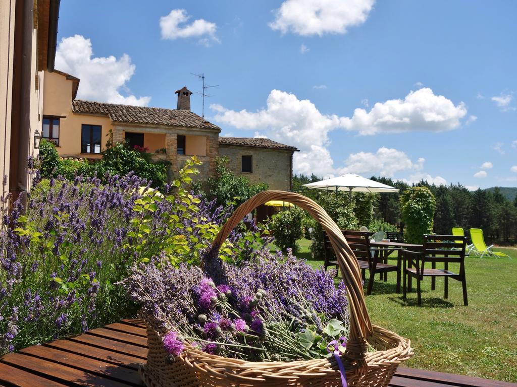 Agriturismo Monterosello Città di Castello Exteriör bild